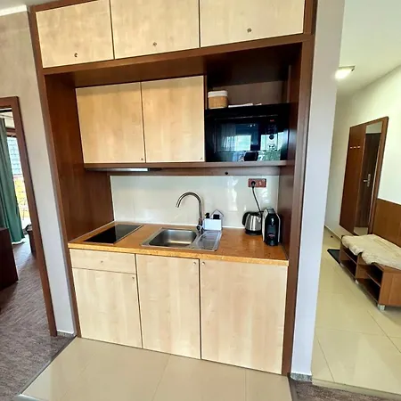 K202 Apartament Wielka Łomnica